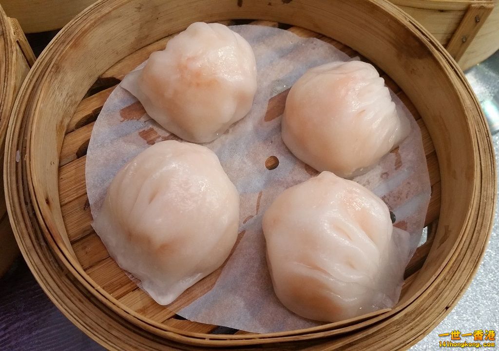 Yummy 8.jpg
