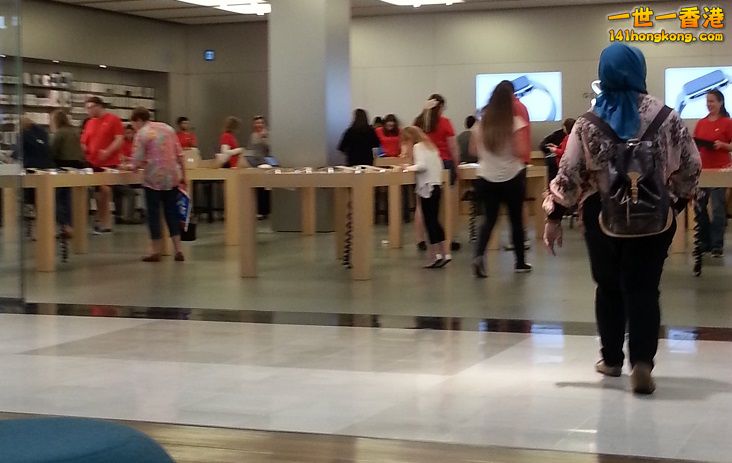 20151122_120117.jpg