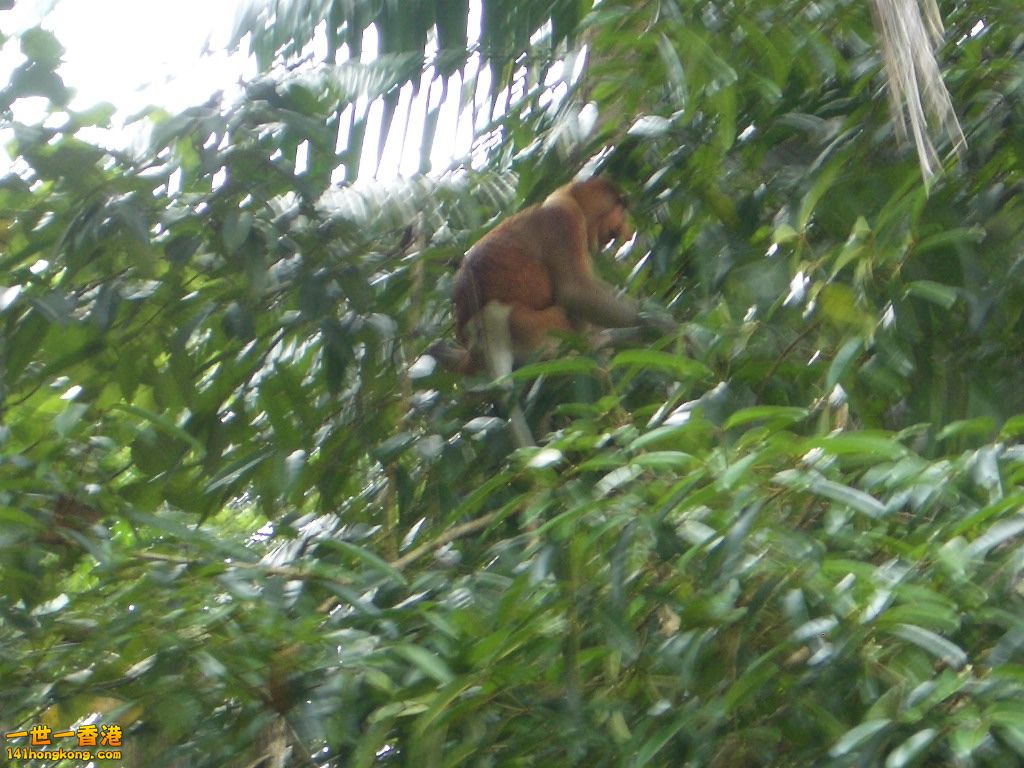 IMGP1627.JPG