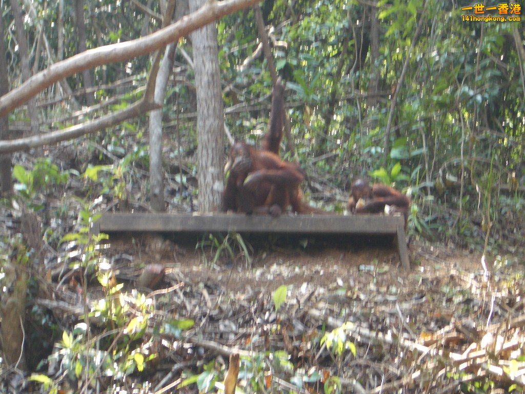 IMGP1424.JPG