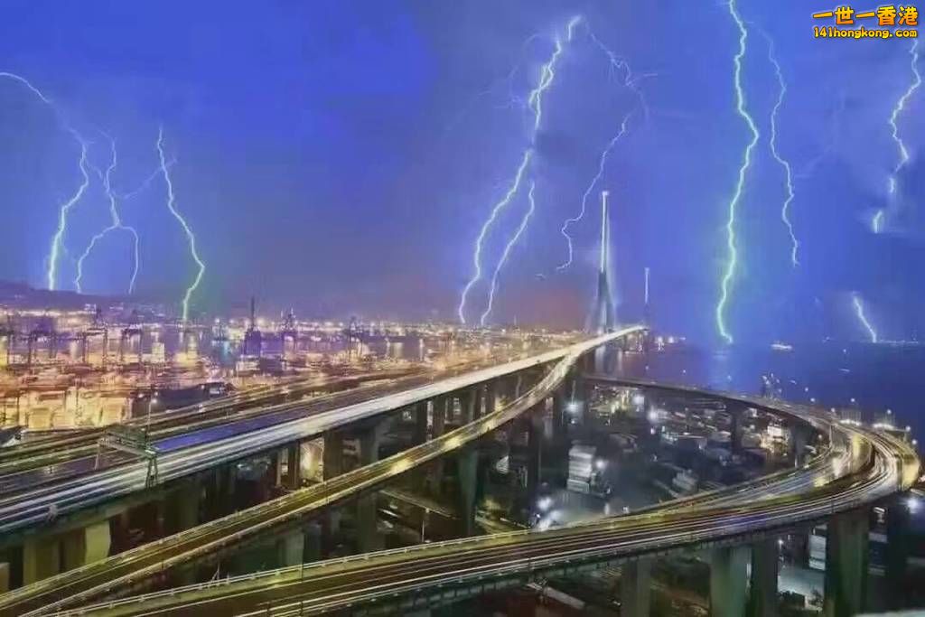 781.jpg
