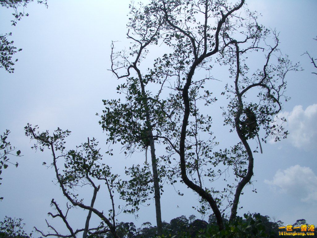 IMGP1633.JPG