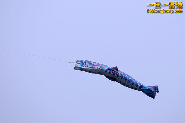DSC_7738a.jpg
