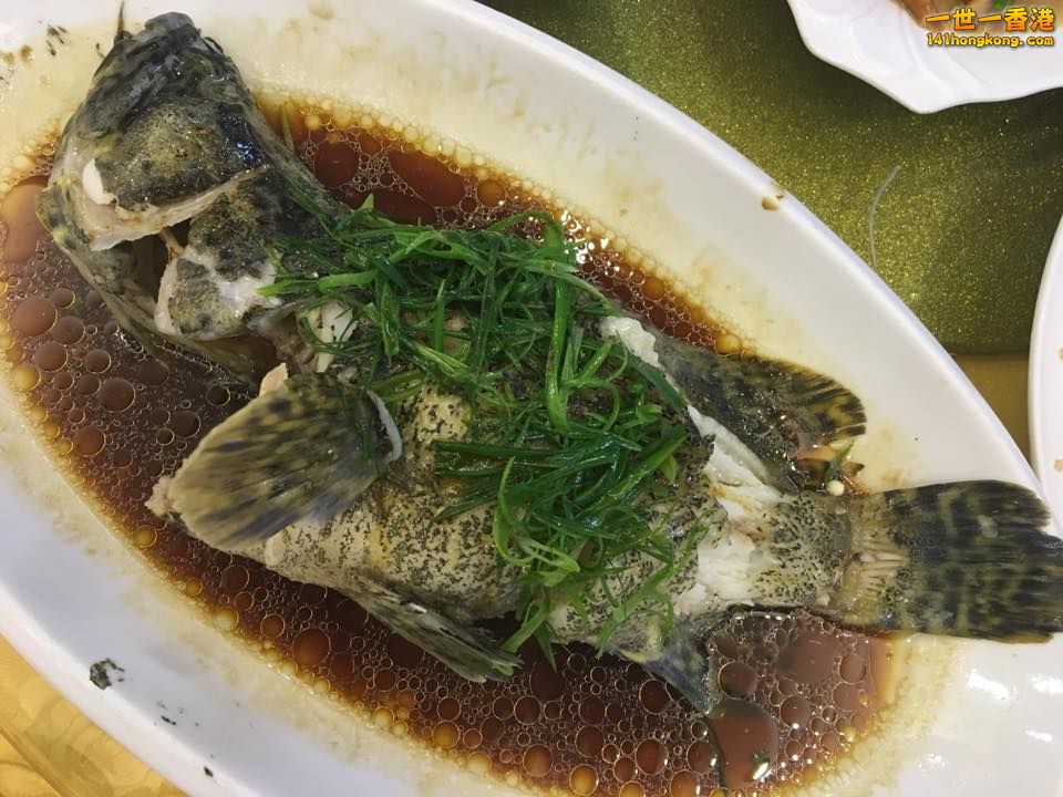 蒸椅.jpg