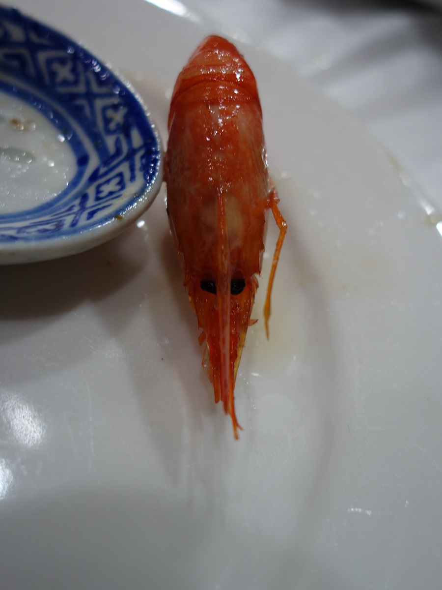 DSC01982.JPG