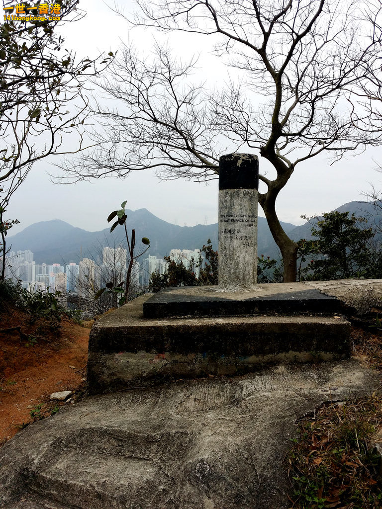 20160225_113639.jpg