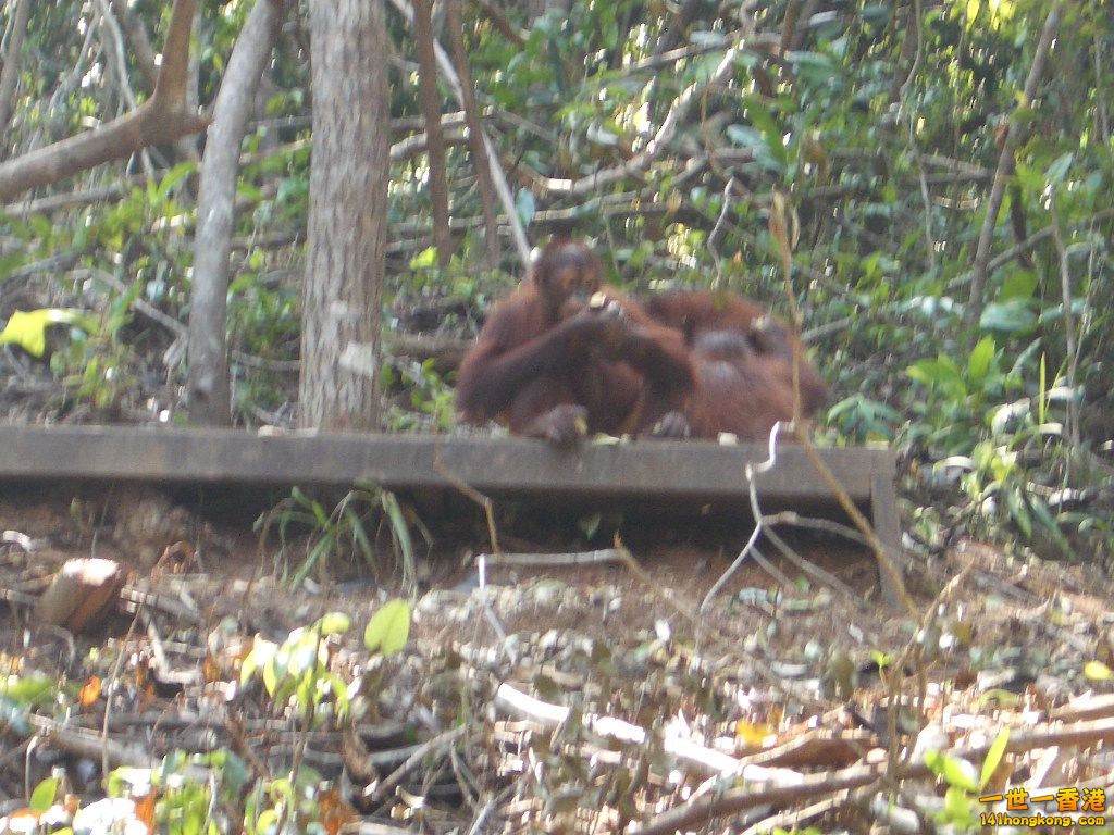 IMGP1429.JPG