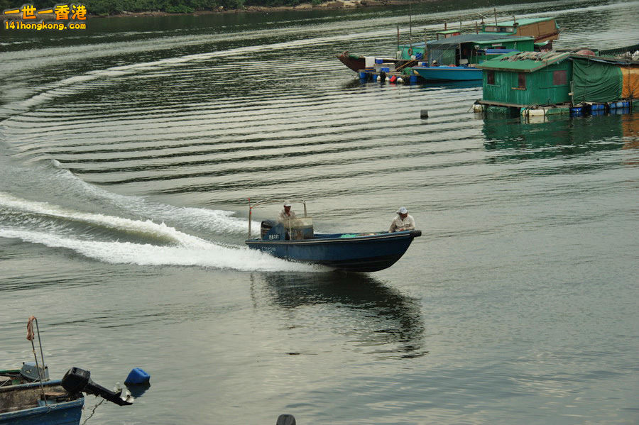 DSC_5570b.jpg