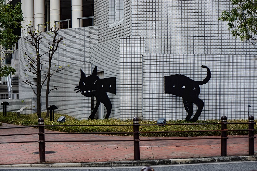 20160226-DSC09108.jpg