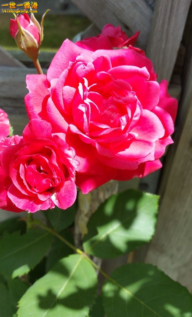 20160716_130321.jpg