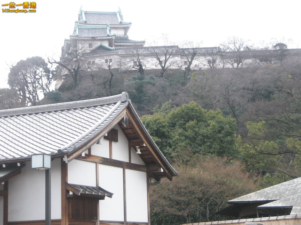 P2101579.JPG