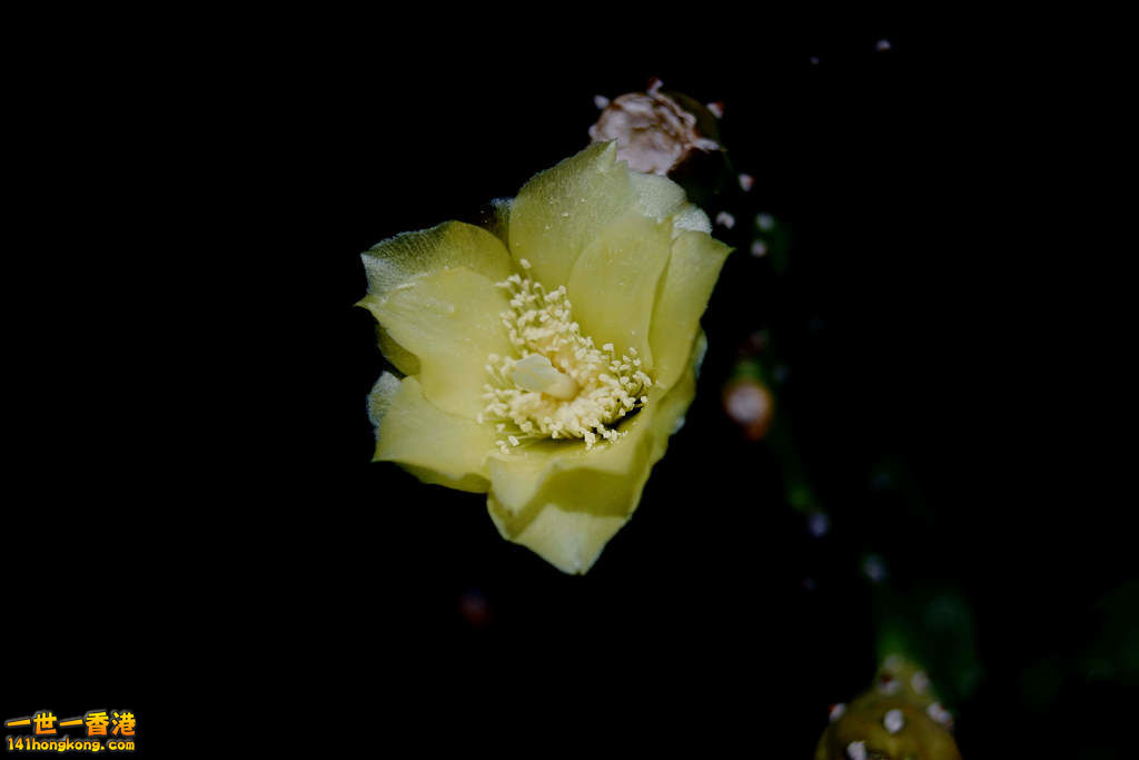 _DSC6474_副本.jpg
