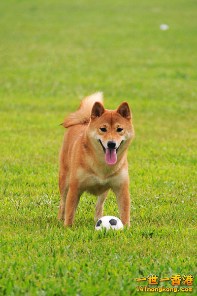 DSC_9983a.jpg