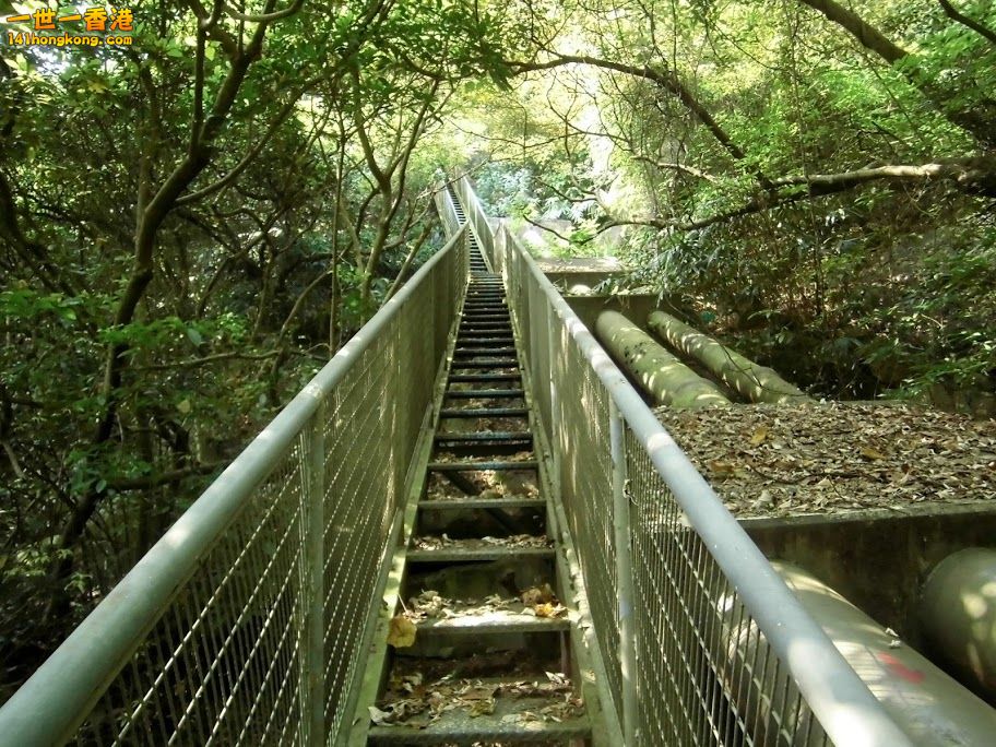 tai tam    0002.jpg