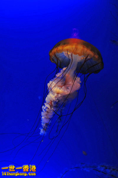 DSC_7997b.jpg
