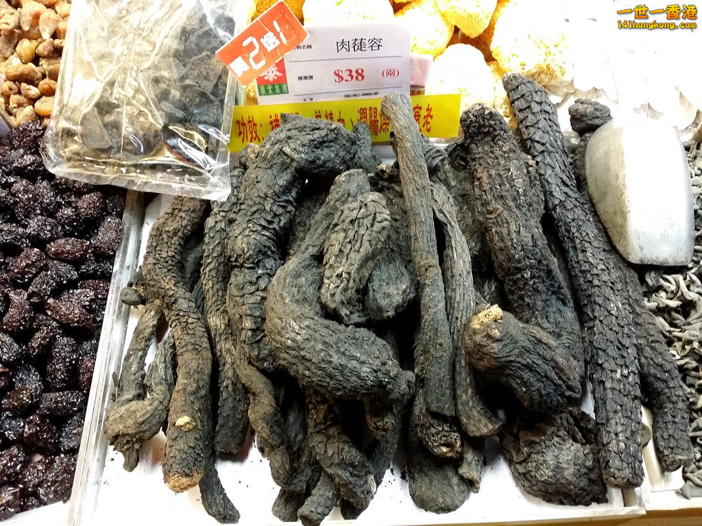 20160320_123118.jpg