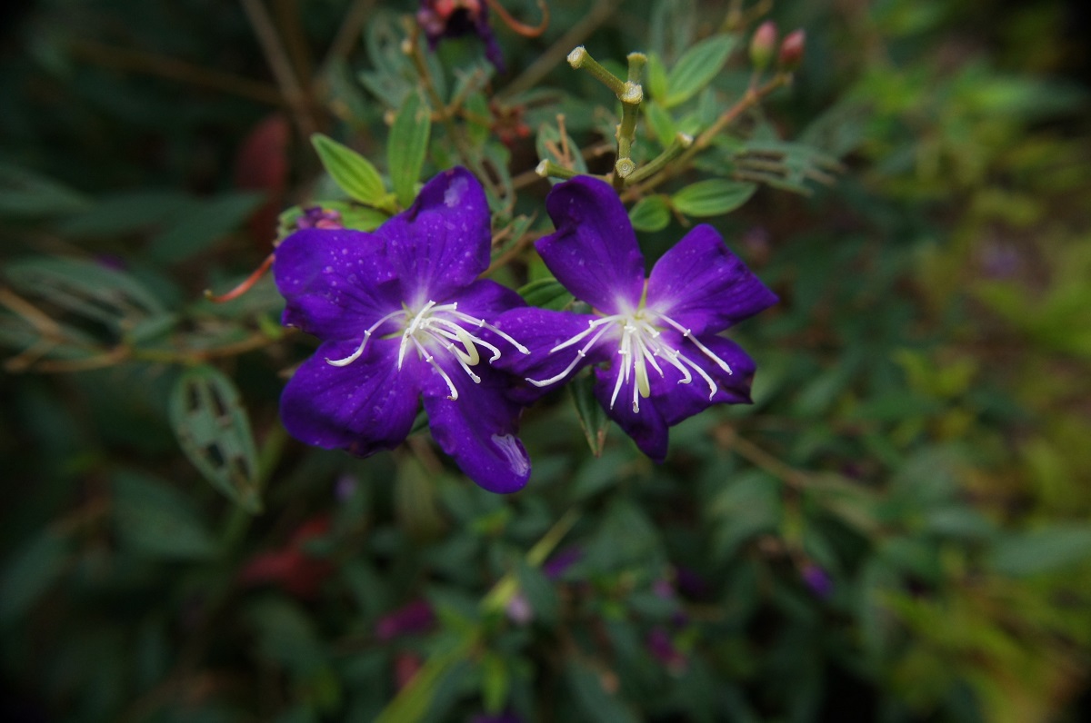 DSC06002.JPG