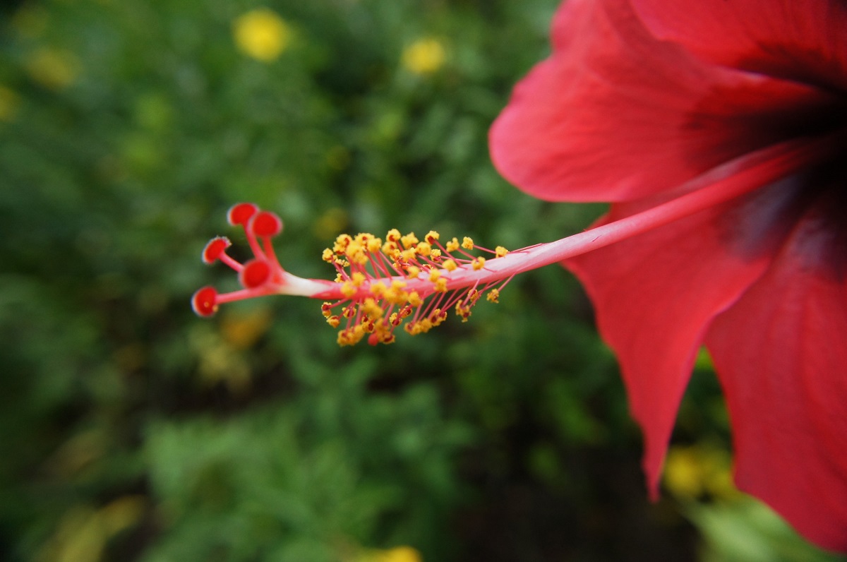 DSC06005.JPG