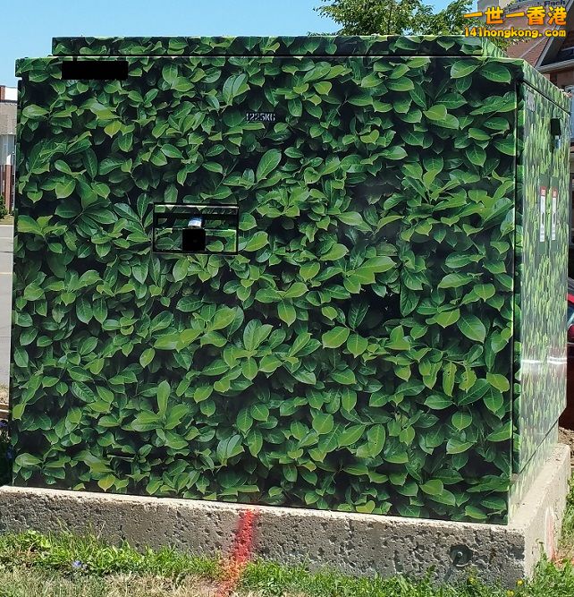 Metal hub with green leaves pattern.jpg