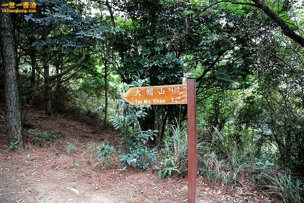 3P1A8767.JPG
