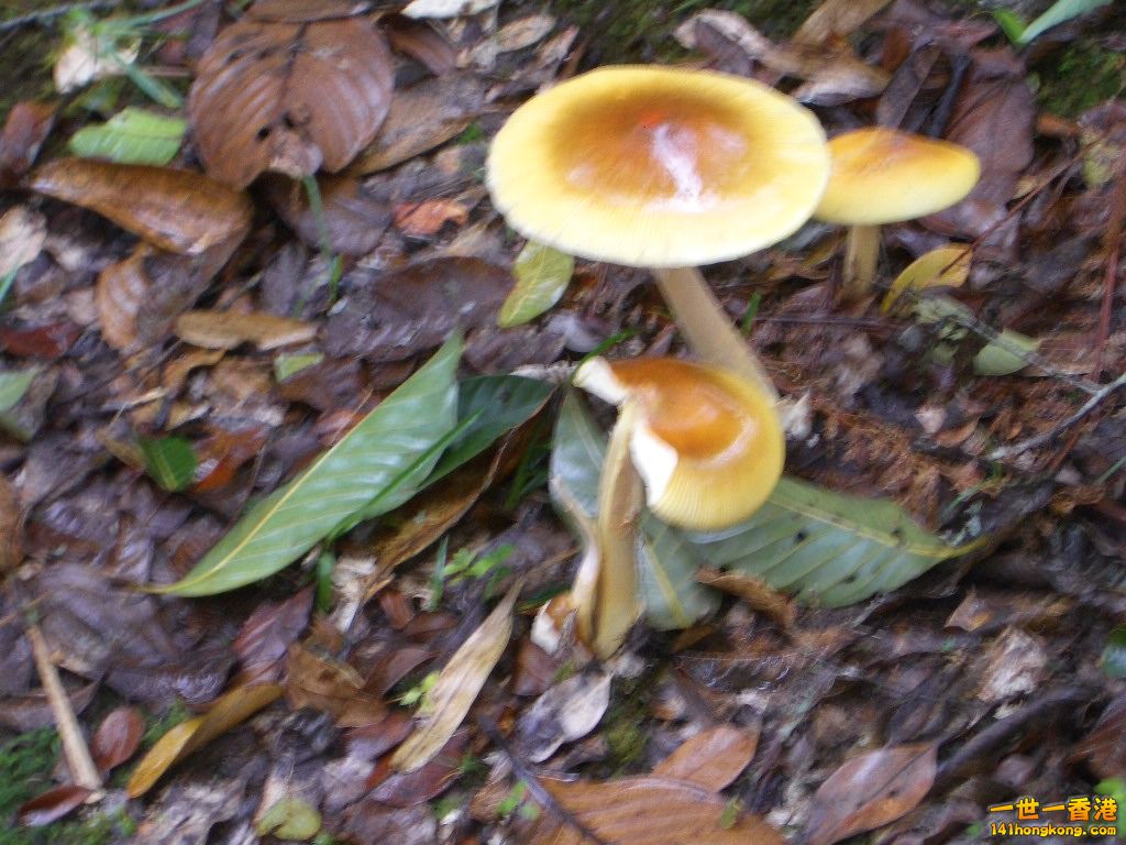 IMGP1321.JPG
