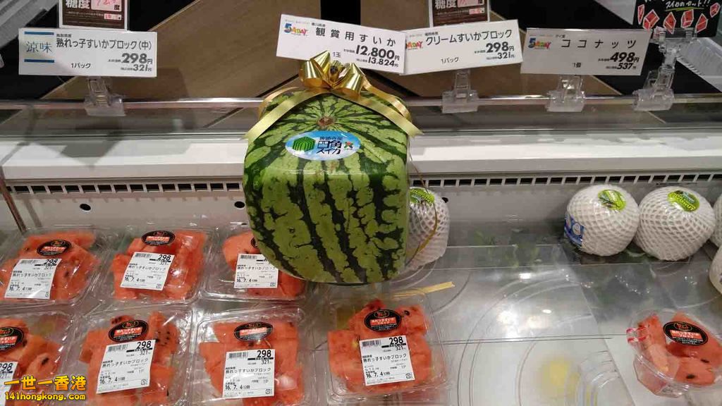 新婚旅行12.jpg
