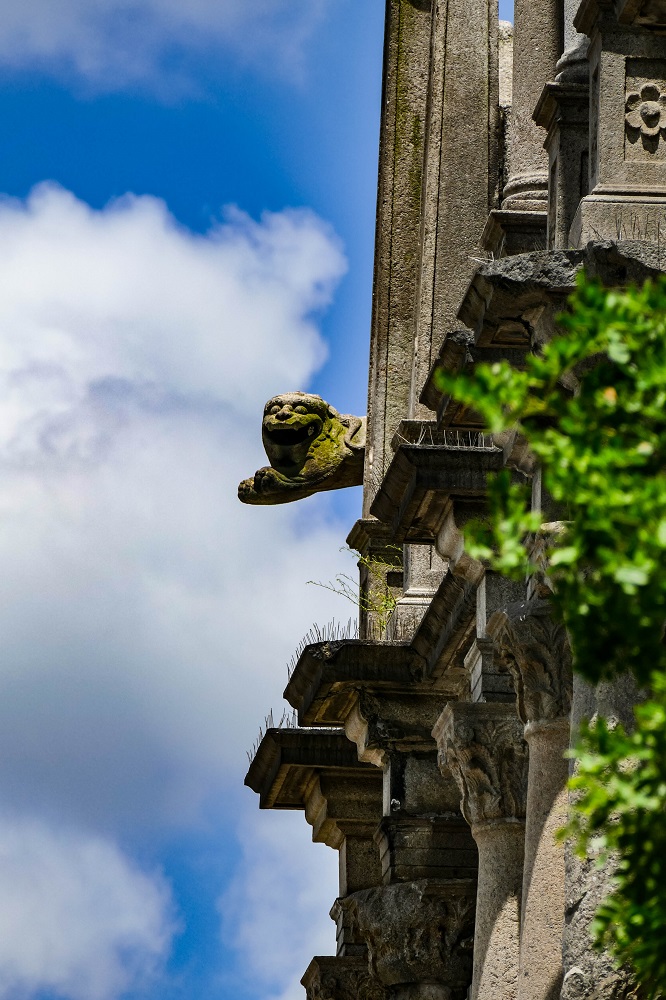 20160728-L1100655.jpg
