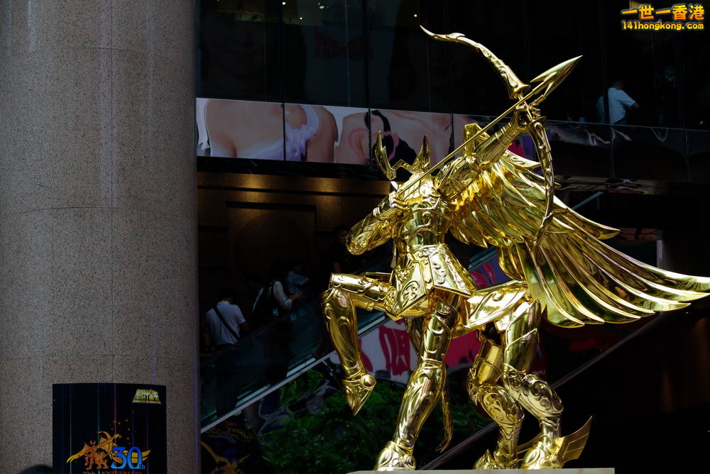 DSC_8794.jpg