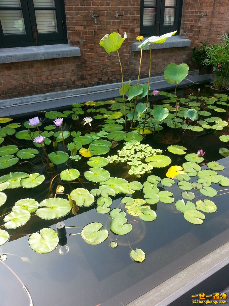 IMG-20141102-WA0023.jpg