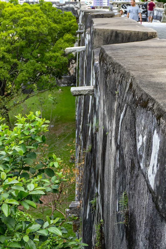20160728-L1100677.jpg