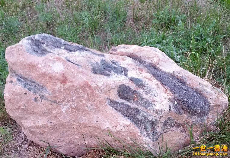 Stone on yard.jpg