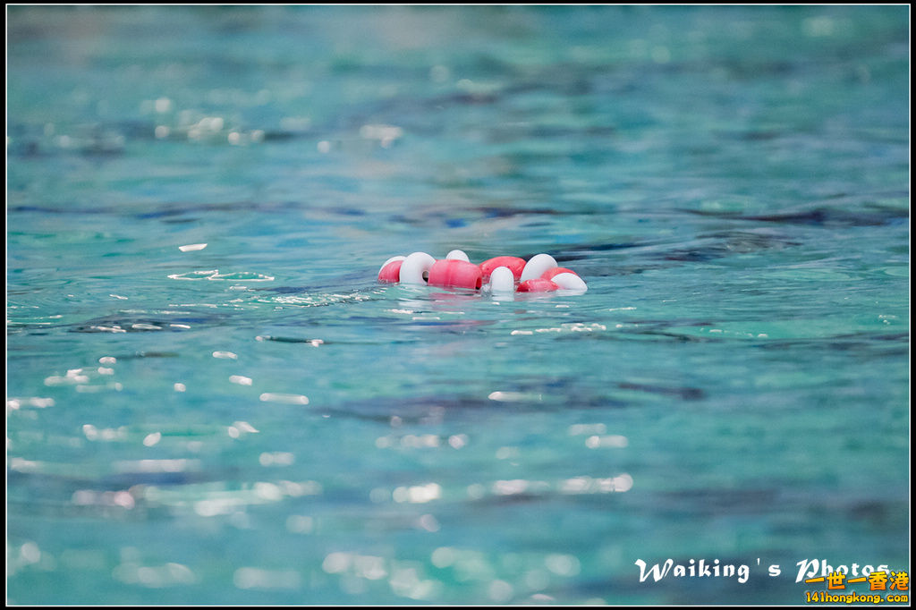 2016-08-21 Water Pool 0001.jpg