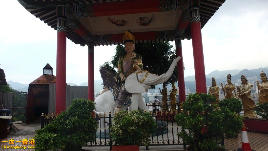 SINTIN  005.JPG