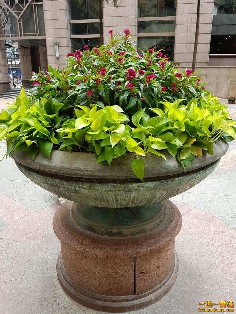 rps20160827_143938.jpg