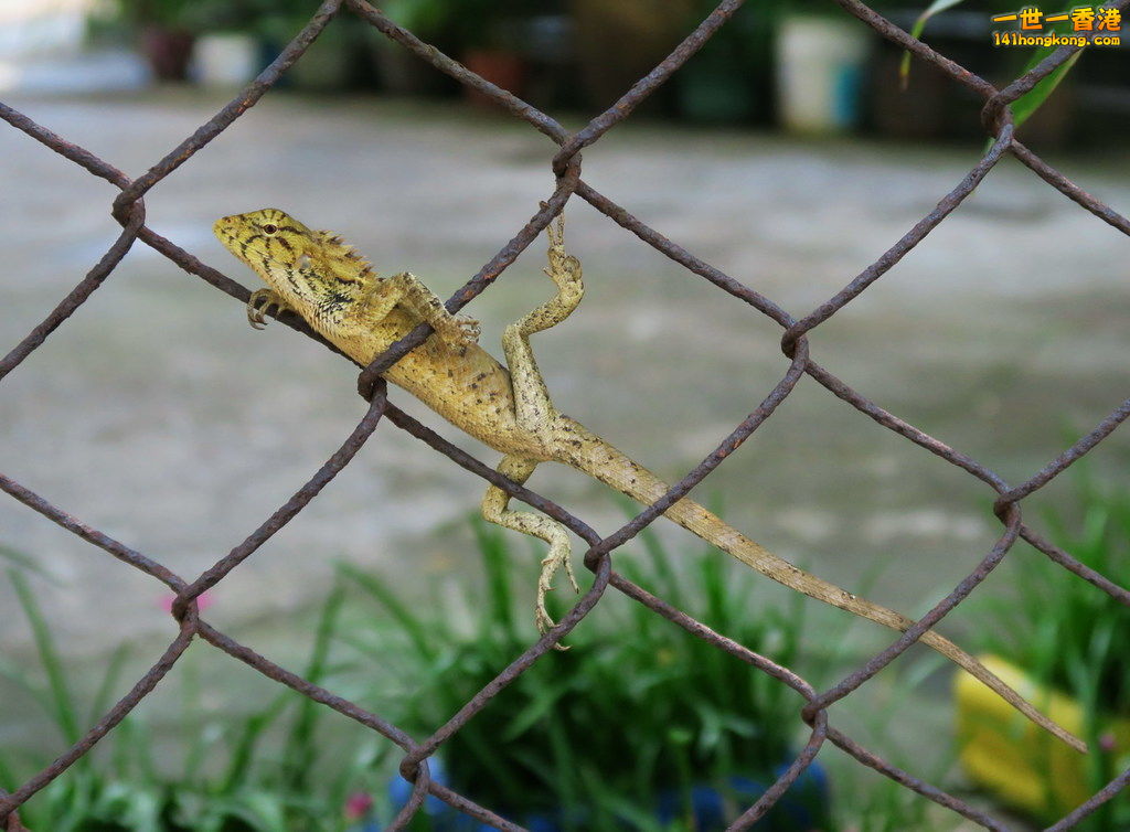 IMG_0714.1.jpg