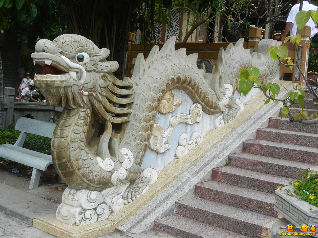 DSCN4904.JPG