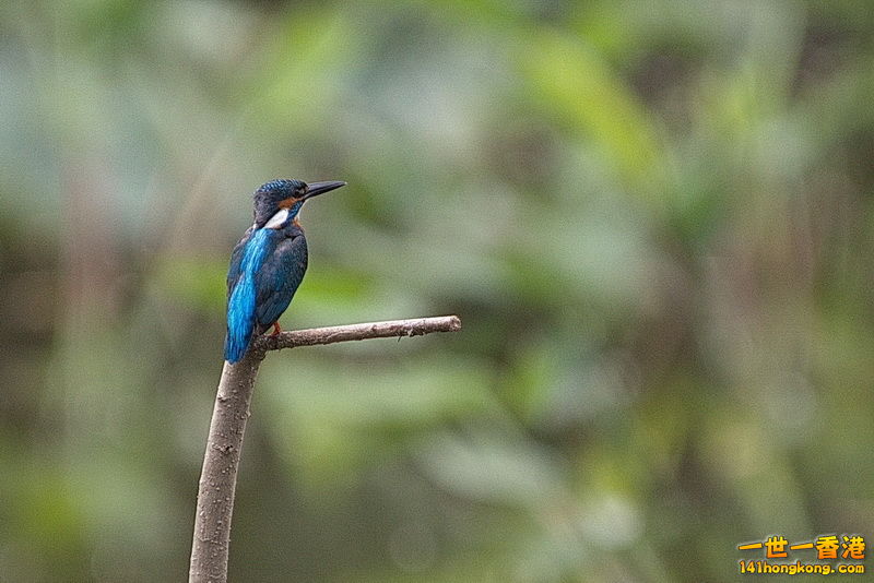 20160622027.JPG