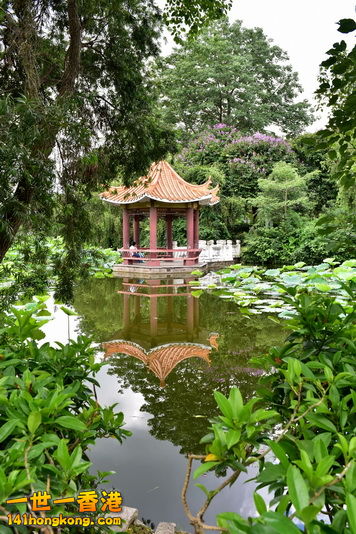 20160622033.JPG