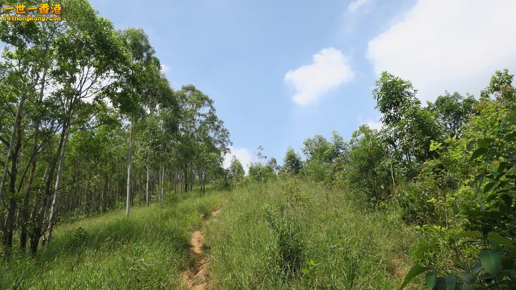 麒麟山.JPG
