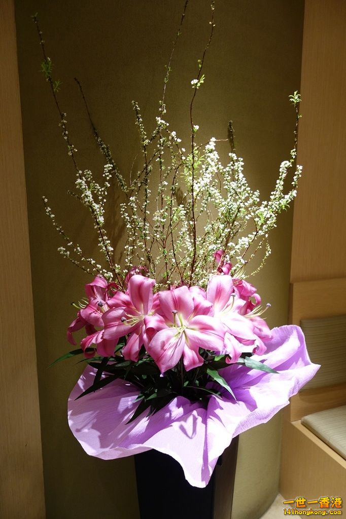 DSC05779.JPG