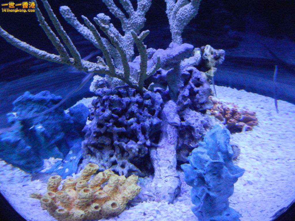 DSCN3759.JPG