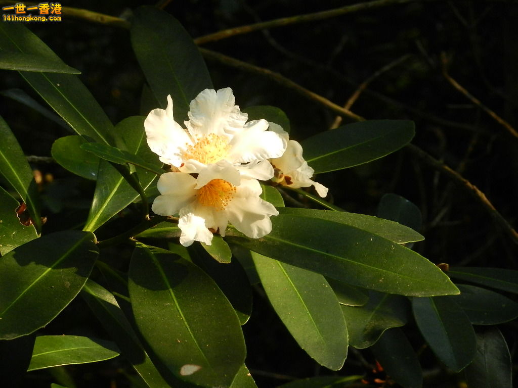 DSCN3588.JPG