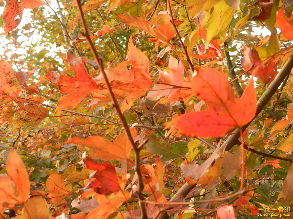 DSCN3647.JPG