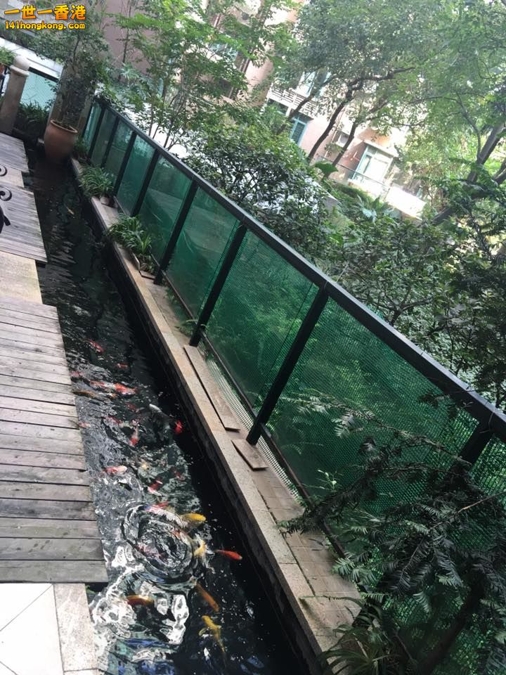14519695_10207264470186670_6515124069672320449_n.jpg