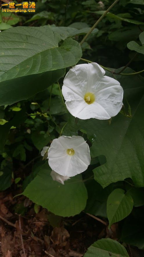 20161004_100346.jpg