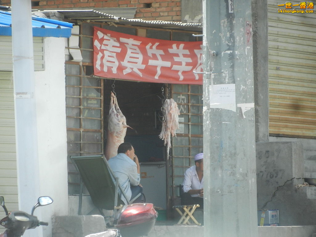 DSCN8467.JPG