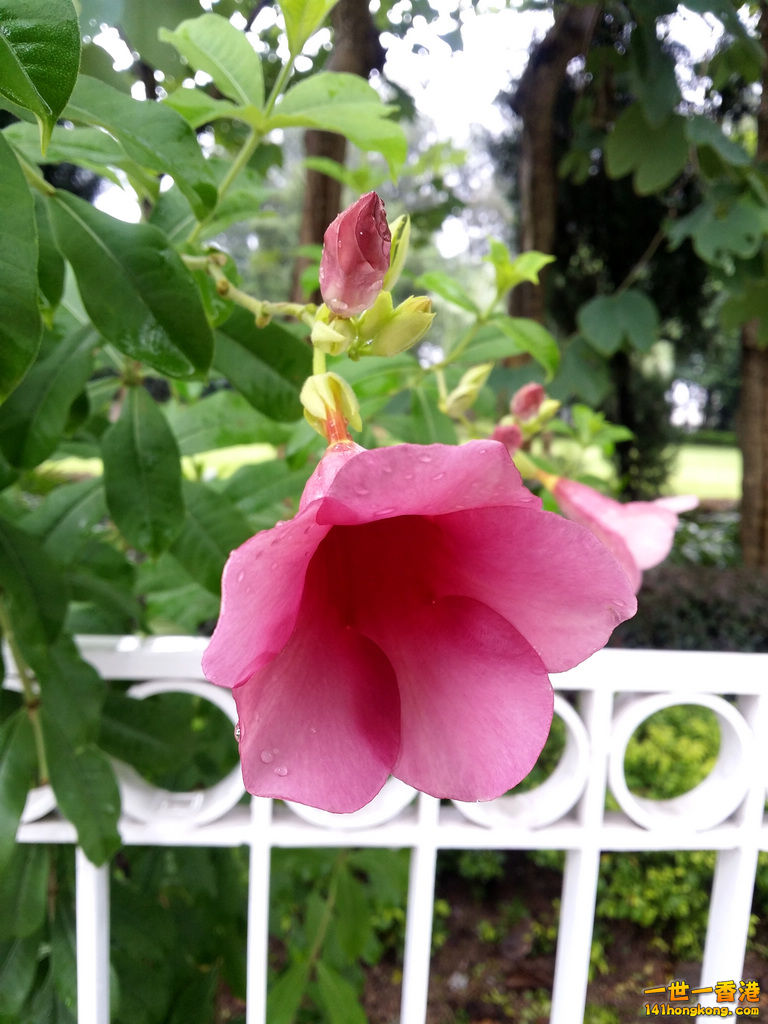20160816_120738.jpg
