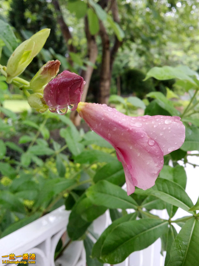 20160816_120801.jpg