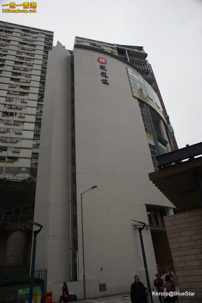 DSC02975.JPG