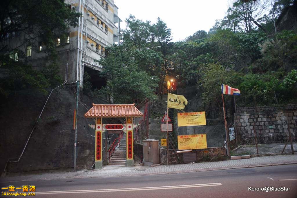 DSC03002.JPG